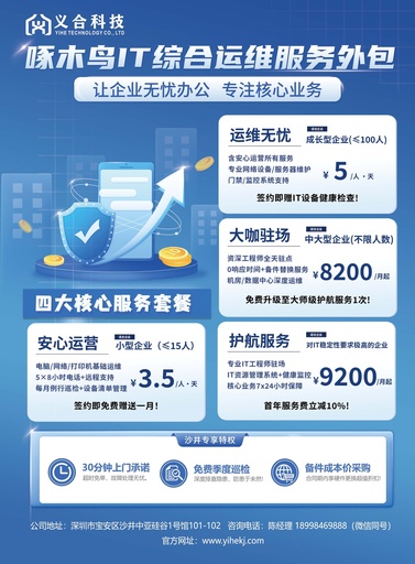 啄木鸟IT综合运维服务外包宣传单页正面-陈功亮